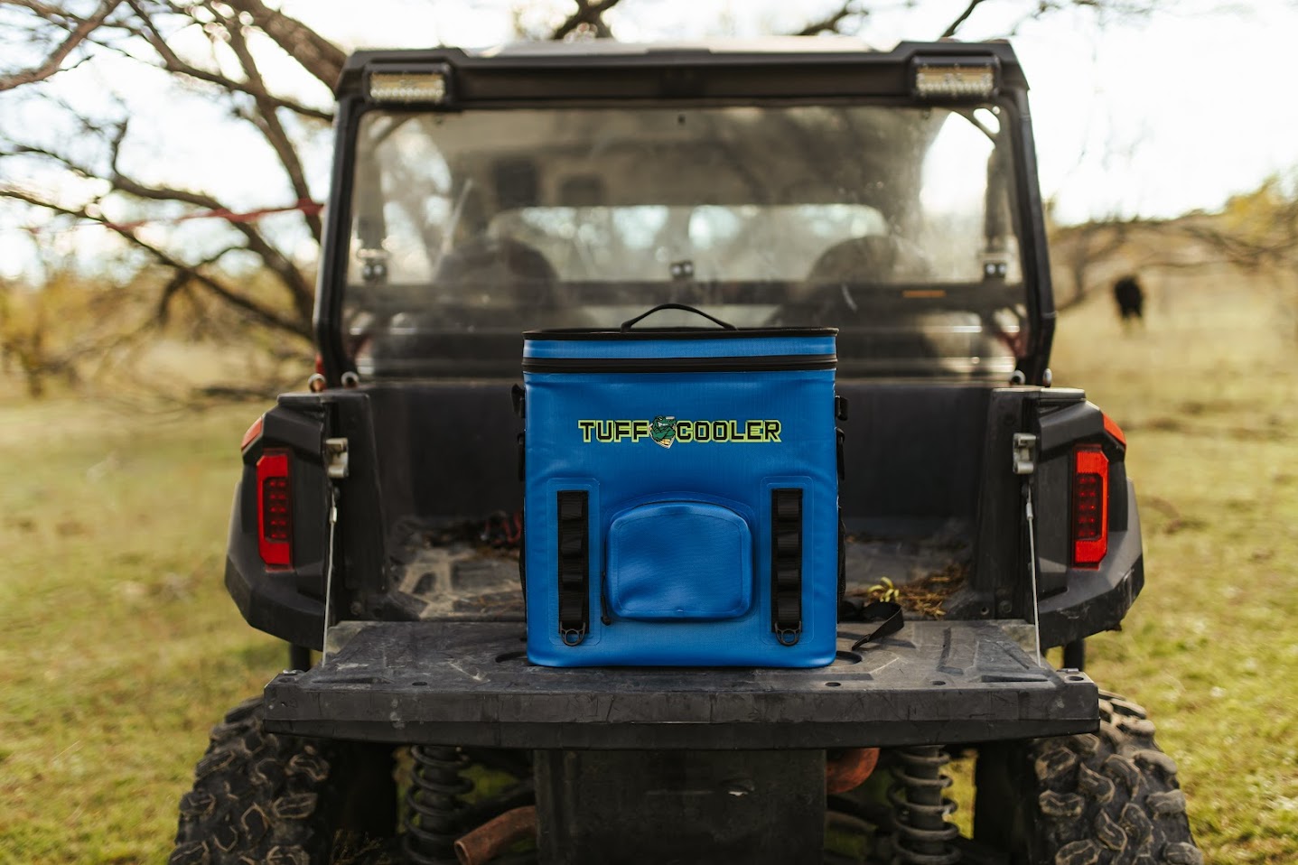 Backpack cooler