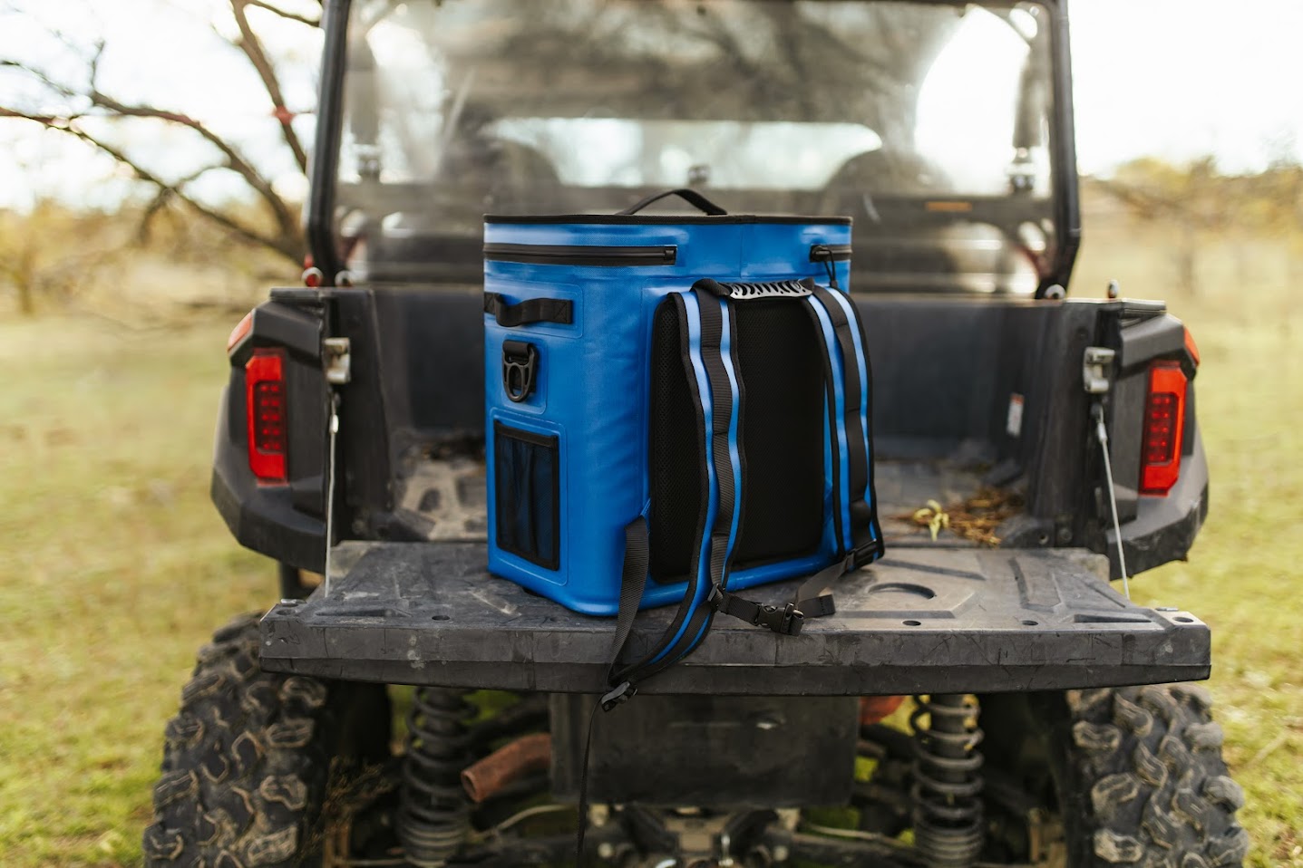 Backpack cooler